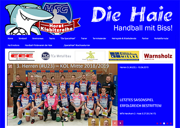 Homepage HSG Horst/Kiebitzreihe